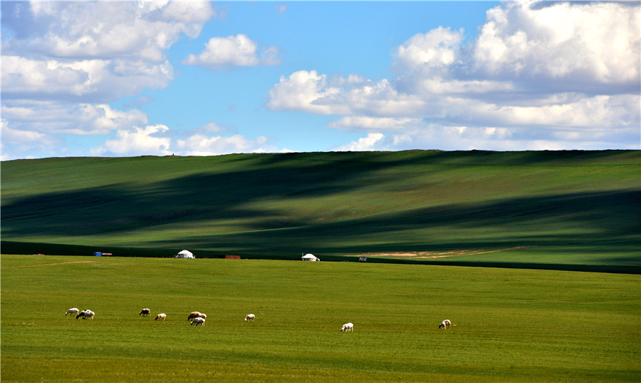 Summer scenery of Xilingol Grassland in N China's Inner Mongolia