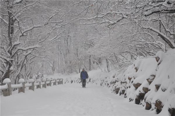 In photos: NE China blanketed by heavy snow