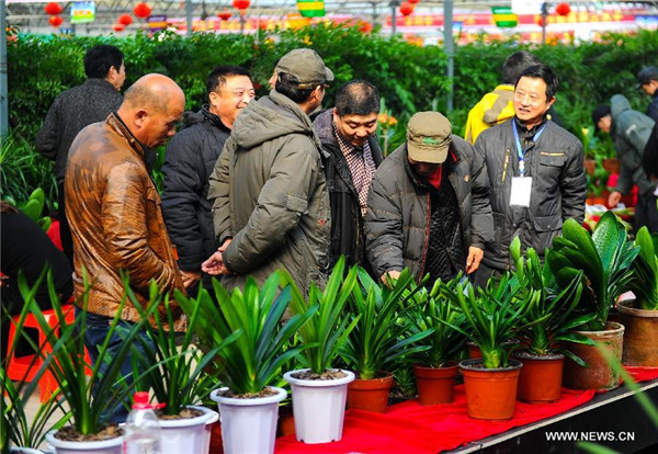 China (Changchun) Flower Expo kicks off