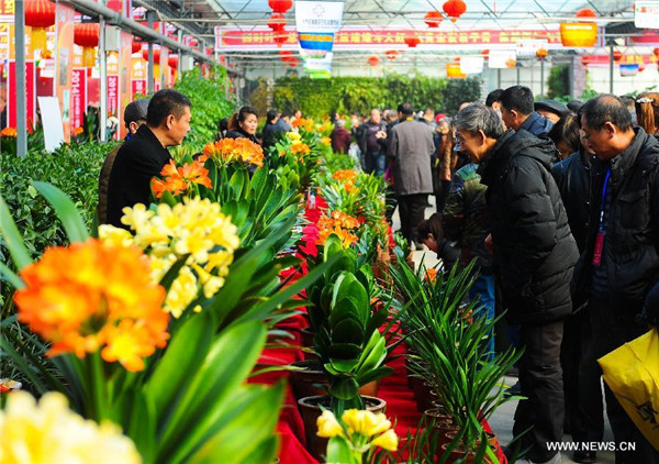 China (Changchun) Flower Expo kicks off