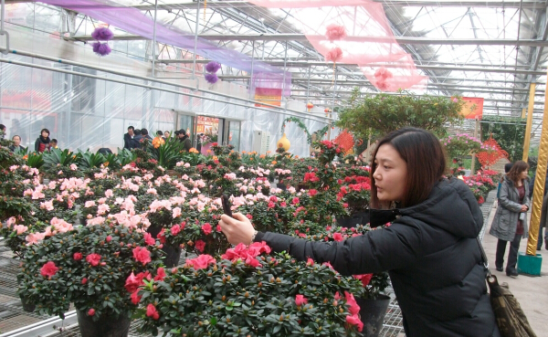 Jilin agriculture fair brings stunning returns