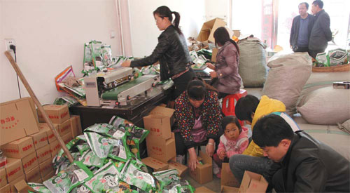 Jiaohe paves way for e-commerce success