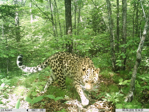 NE China nature reserves