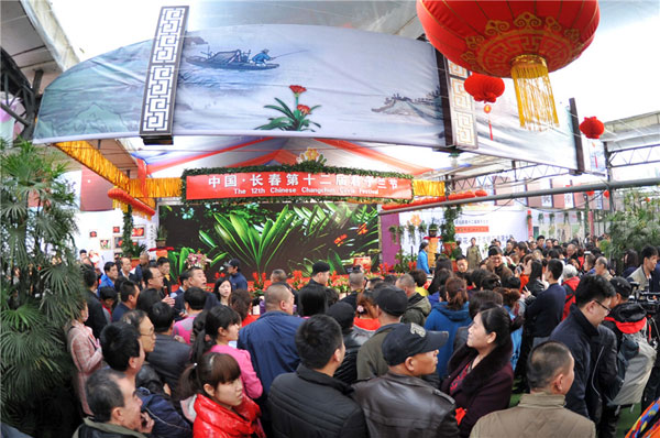 Changchun’s clivia flowers attract tourists