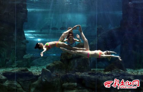 Russian swimmers perform underwater ballet in Changchun