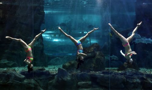 Russian swimmers perform underwater ballet in Changchun