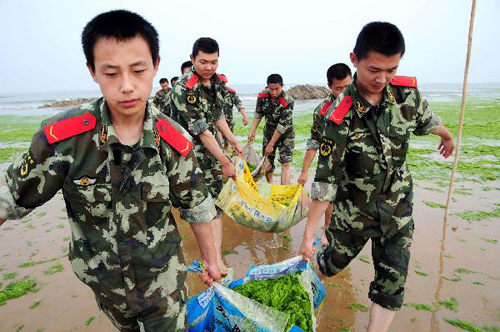 Green Algae invading China's tourist destination Qingdao