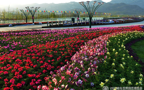 Flower Avenue in Qingdao Expo