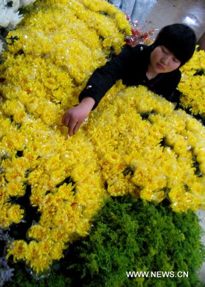 Chrysanthemum, lily popular ahead of Qingming Festival