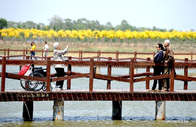 Tianjin citizens enjoy holiday in Xiqing country park