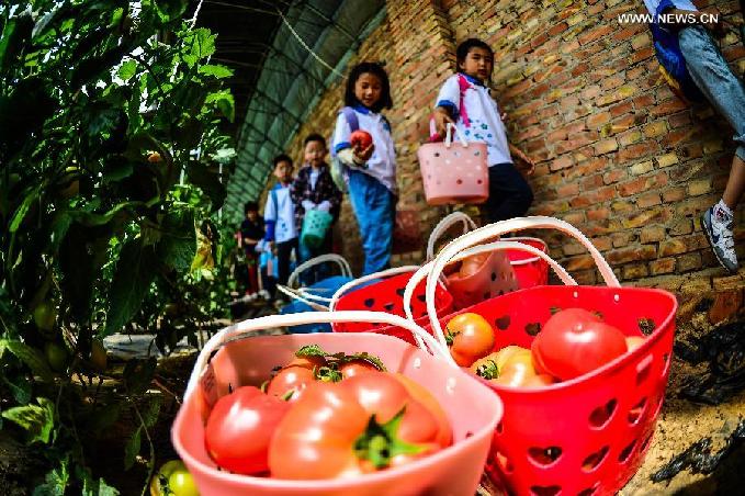 Child-themed ecological farm in Tianjin