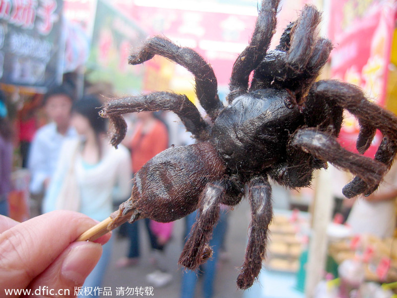 Weird Chinese foods, dare to try?