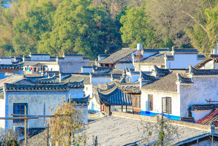 The pleasant pastoral life in Wuyuan