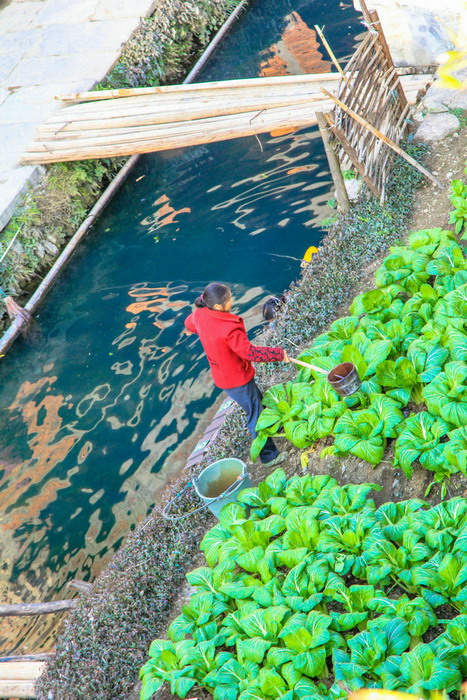 The pleasant pastoral life in Wuyuan