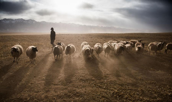 Wounds inflicted on Qinghai reserve must be healed soon to save 3 rivers