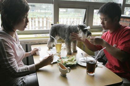 A Chinese couple eat with their pet at the Coolbaby dog restaurant in Beijing May 20, 2006. The newly opened dog theme park, the first in China's capital, has a swimming pool, obstacle courses and also has a restaurant specially designed for pets. Not only can pets have meals together with their owners, but the recipes offered are based on nutritional science and tailored for dogs of different breeds, ages and sizes. [Reuters]
