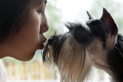 A Chinese dog owner kisses her pet at the Coolbaby dog restaurant in Beijing May 20, 2006. The newly opened dog theme park, the first in China's capital, has a swimming pool, obstacle courses, playground and has a restaurant specially designed for pets. Not only can pets have meals together with their owners, but the recipes offered are based on nutritional science and tailored for dogs of different breeds, ages and sizes. [Reuters]