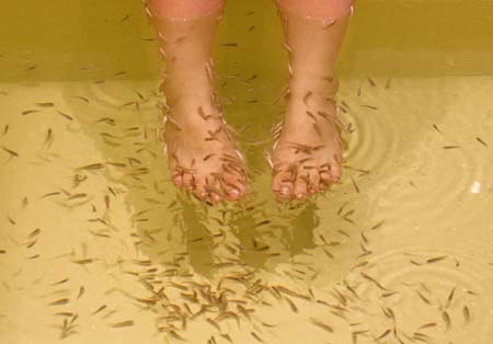 A model dips her feet into a tank containing the garra rufa species of fish in Singapore January 16, 2007. Beauty is big business in image-obsessed Singapore, where people are willing to try often bizarre treatments to look good. Picture taken January 16, 2007. 
