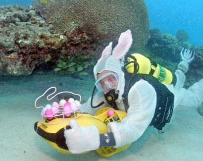 Underwater Easter egg hunt
