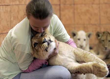 In Belgrade zoo