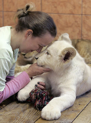 In Belgrade zoo