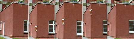 Spidercat climbs walls to enter flat