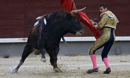 Bullfighting fair in Madrid