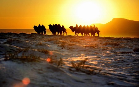 Snow-decorated north China prairie