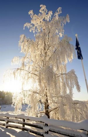 Entire Europe freezes in snow