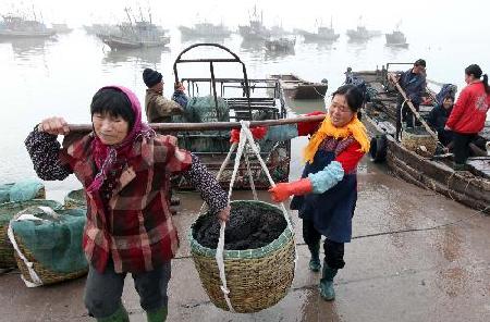 Chinese farmers reap bumper winter harvest