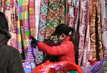 Rural shopping spree for Spring Festival