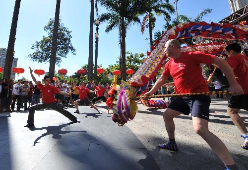 Overseas Chinese celebrate Spring Festival