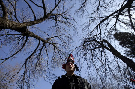 Temple fairs in Beijing