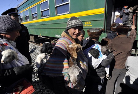 Herdsmen transfer livestocks to spring pastures by train