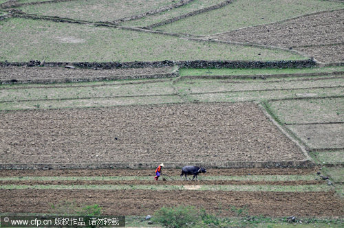 Rain brings no relief for drought stricken Guangxi