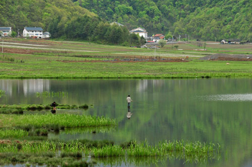 Shennongjia offers spring charm