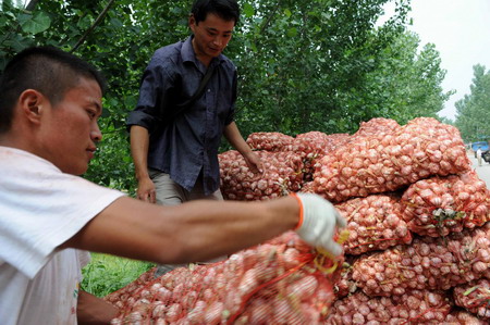 Price of fresh garlic rises day by day