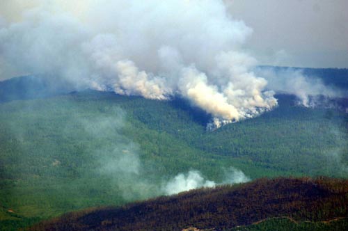 Forest fire put out in north China