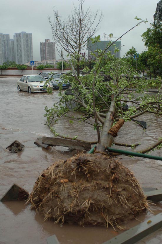 Heaviest rainfalls hit Chongqing