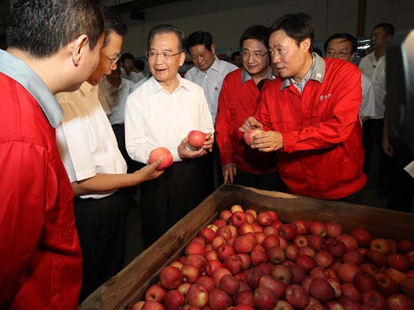 Premier Wen inspects NW China province