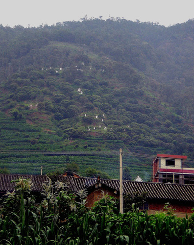 Tombstones covered to blend into mountain