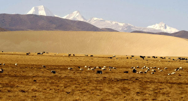 Tibet invests 318 M yuan in wetlands