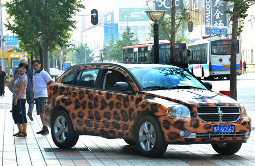 Car with leopard print