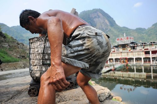 Fish bearers carry family hopes on their backs