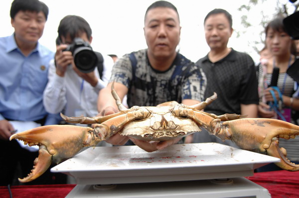 Blue crab tournament in East China