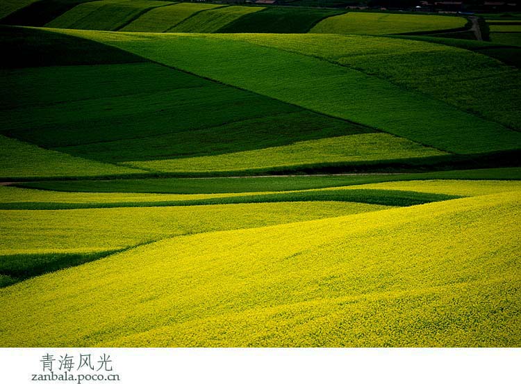 Jambhala: Tibet Buddhism influences photography (Part II)