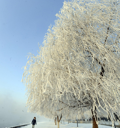 Rime-covered city tells fairyland tale