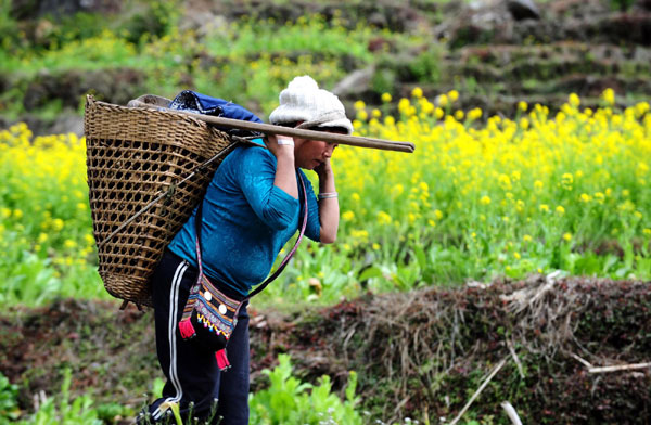 Spring farming dawns in SW China