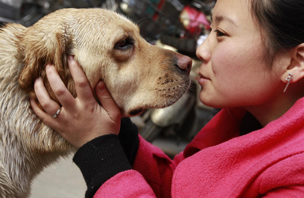 Owners seek a spot for their guide dogs