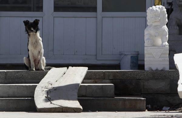 Snapshots of white marble works